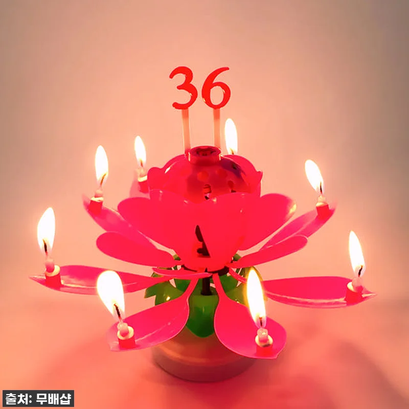 이슈템 떴다! 생일 분위기 1000% 올리는 '회전 멜로디 연꽃초' 찐 사용 후기 (feat. 부모님부터 친구까지 대만족) 14 이슈템 떴다! 생일 분위기 1000% 관련 이미지 5