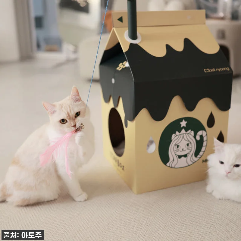 ✨품절대란템 드디어 내 손에! 매일야 관련 이미지 6