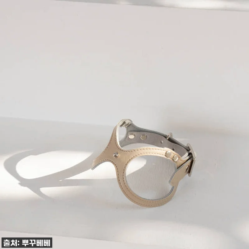 우리 토리 심쿵유발! 42% 할인 '뿌꾸베베 뉴트럴 X형 강아지하네스' 찐후기! 품절되기 전에 쟁여요! 16 우리 토리 심쿵유발! 42% 할인 ' 관련 이미지 5