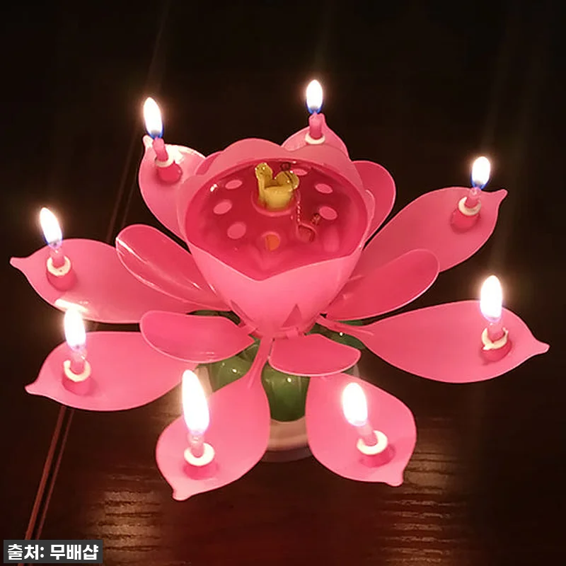 이슈템 떴다! 생일 분위기 1000% 올리는 '회전 멜로디 연꽃초' 찐 사용 후기 (feat. 부모님부터 친구까지 대만족) 15 이슈템 떴다! 생일 분위기 1000% 관련 이미지 6