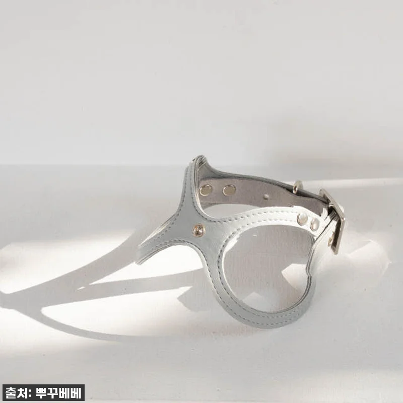 우리 토리 심쿵유발! 42% 할인 '뿌꾸베베 뉴트럴 X형 강아지하네스' 찐후기! 품절되기 전에 쟁여요! 17 우리 토리 심쿵유발! 42% 할인 ' 관련 이미지 6