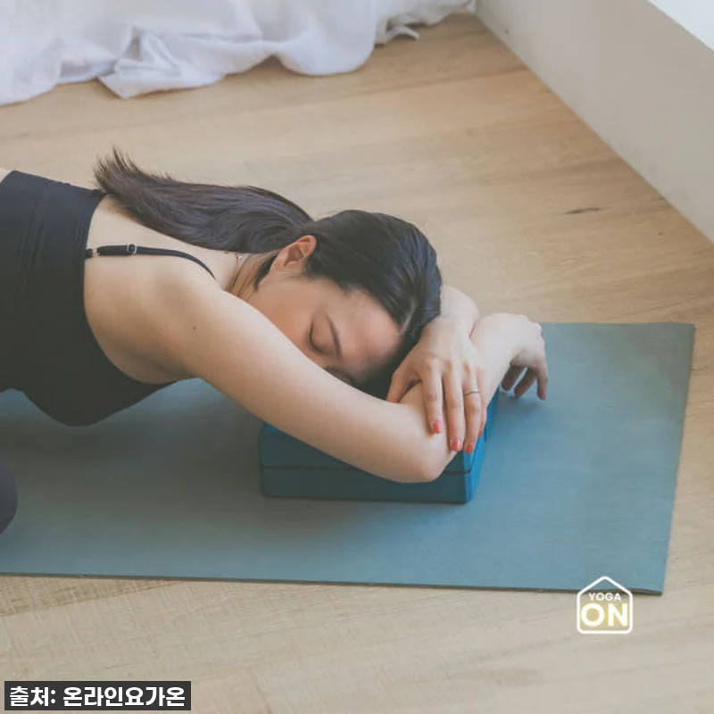 새벽 요가, 이렇게 좋을 줄이야? 🧘 관련 이미지 7