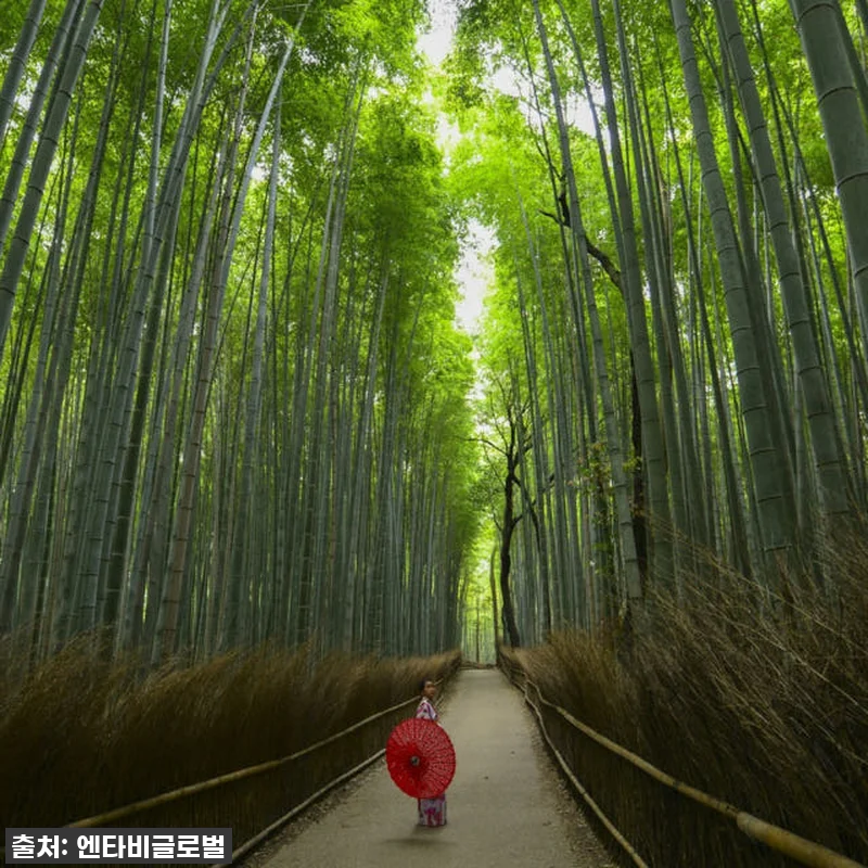 🔥품절임박🔥 오사카 교토 청수사 금각 관련 이미지 7