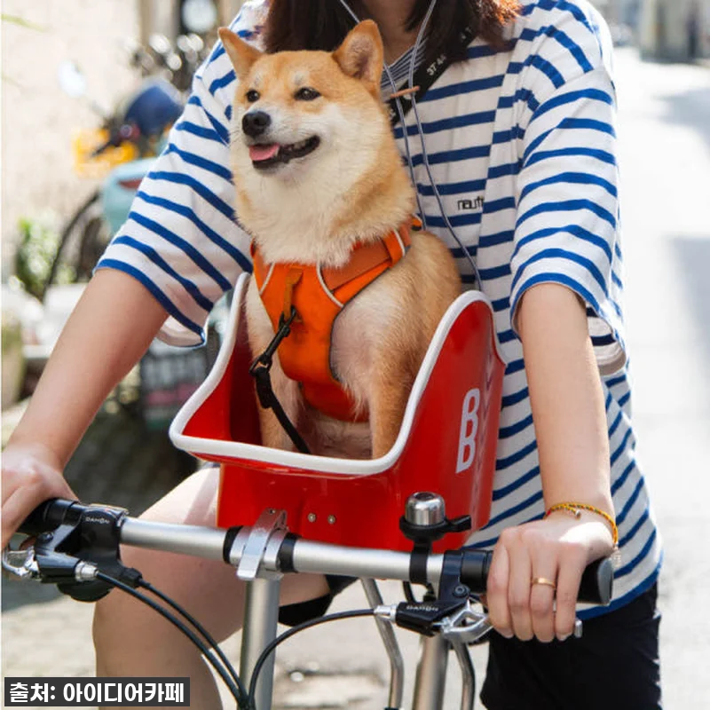 이슈템 찐후기! 브룩앤브리즈 댕댕라이더 강아지 자전거 시트, 우리 댕댕이랑 라이딩 데이트 가능?! 20 이슈템 찐후기! 브룩앤브리즈 댕댕라이 관련 이미지 8