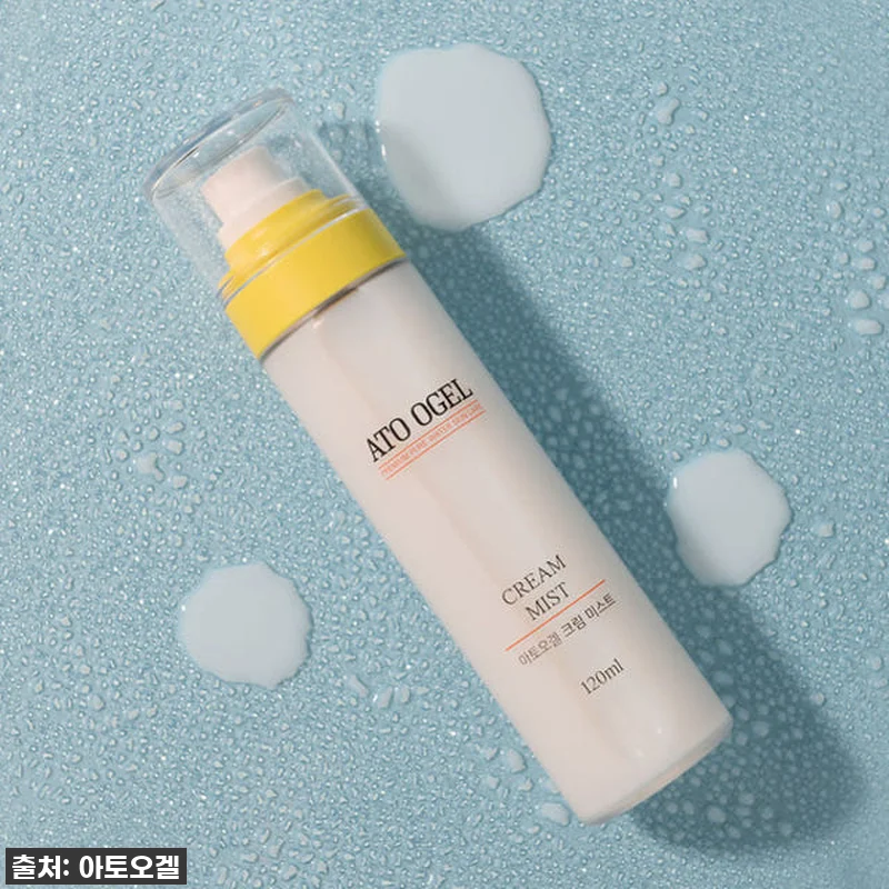 찐후기! 품절임박 [BABY FEST 관련 이미지 8