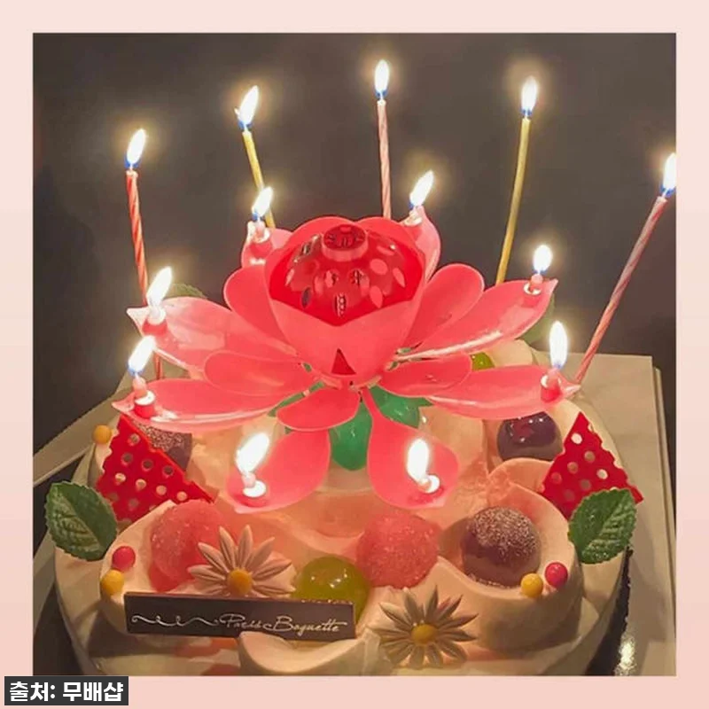 이슈템 떴다! 생일 분위기 1000% 올리는 '회전 멜로디 연꽃초' 찐 사용 후기 (feat. 부모님부터 친구까지 대만족) 16 이슈템 떴다! 생일 분위기 1000% 관련 이미지 7