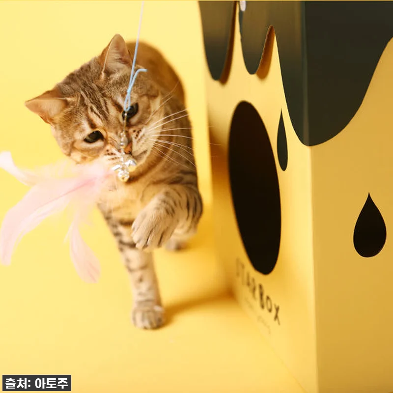 ✨품절대란템 드디어 내 손에! 매일야 관련 이미지 8