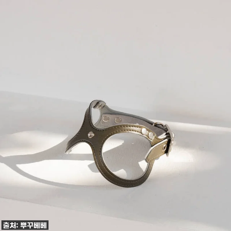 우리 토리 심쿵유발! 42% 할인 '뿌꾸베베 뉴트럴 X형 강아지하네스' 찐후기! 품절되기 전에 쟁여요! 18 우리 토리 심쿵유발! 42% 할인 ' 관련 이미지 7