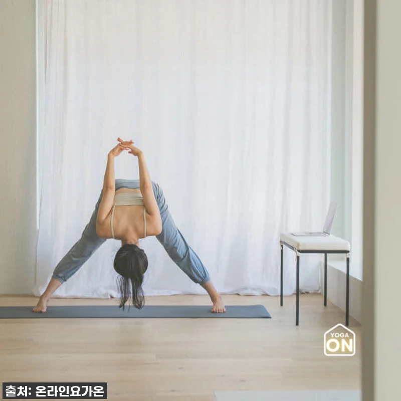 새벽 요가, 이렇게 좋을 줄이야? 🧘 관련 이미지 8