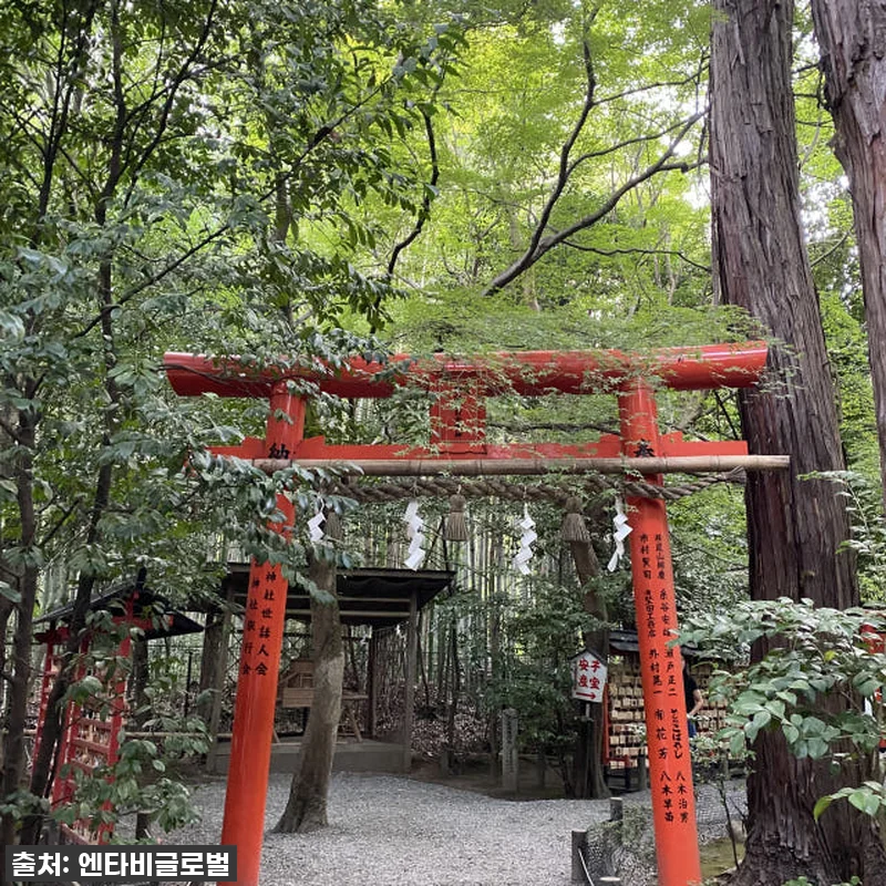 🔥품절임박🔥 오사카 교토 청수사 금각 관련 이미지 8