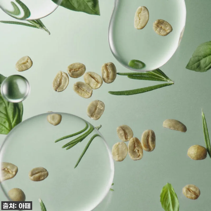 찐후기! 푸석한 머릿결에 생명을 불어넣은 '아떼 앤루트 비건 트리트먼트 SET' (46% 할인 놓치지 마세요!) 18 찐후기! 푸석한 머릿결에 생명을 불어 관련 이미지 8