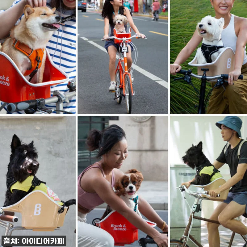 이슈템 찐후기! 브룩앤브리즈 댕댕라이더 강아지 자전거 시트, 우리 댕댕이랑 라이딩 데이트 가능?! 21 이슈템 찐후기! 브룩앤브리즈 댕댕라이 관련 이미지 9