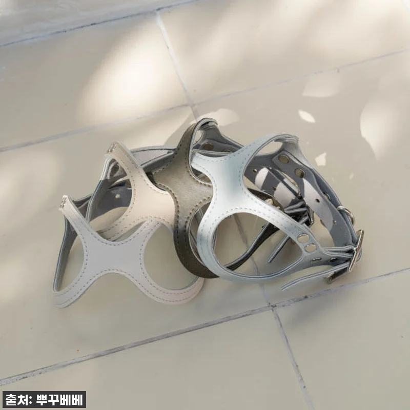 우리 토리 심쿵유발! 42% 할인 '뿌꾸베베 뉴트럴 X형 강아지하네스' 찐후기! 품절되기 전에 쟁여요! 19 우리 토리 심쿵유발! 42% 할인 ' 관련 이미지 8