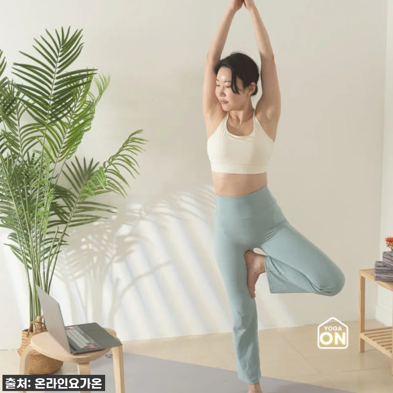 새벽 요가, 이렇게 좋을 줄이야? 🧘 관련 이미지 9