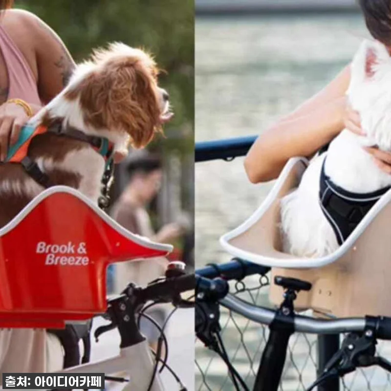 이슈템 찐후기! 브룩앤브리즈 댕댕라이더 강아지 자전거 시트, 우리 댕댕이랑 라이딩 데이트 가능?! 22 이슈템 찐후기! 브룩앤브리즈 댕댕라이 관련 이미지 10