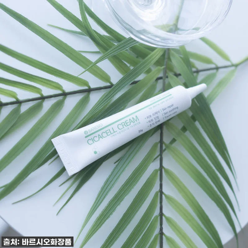 시카 재생 크림 피부과 레이저 점빼고 관련 이미지 9