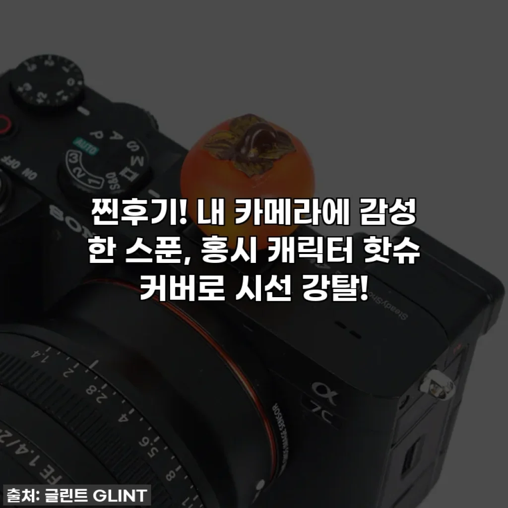 찐후기! 내 카메라에 감성 한 스푼, 홍시 캐릭터 핫슈 커버로 시선 강탈!