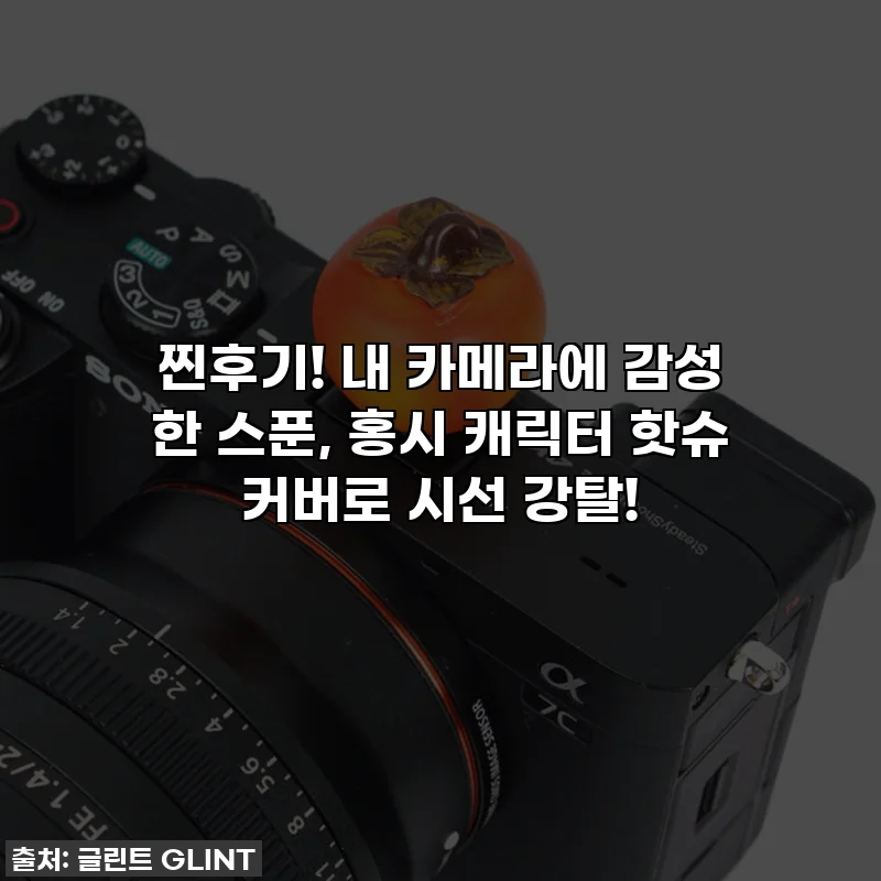 찐후기! 내 카메라에 감성 한 스푼, 홍시 캐릭터 핫슈 커버로 시선 강탈!