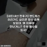 [내돈내산 찐후기] 앤드윅스 하리가드 실리콘 방수 손목 보호대, 왜 이제야 만난거니? 주부 필수템 등극!