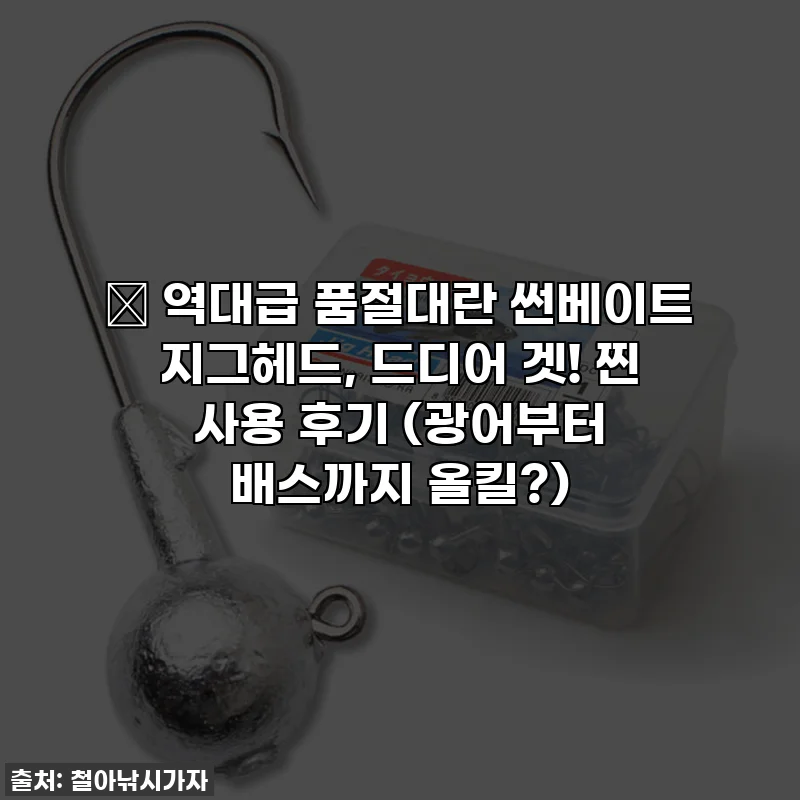 🎣 역대급 품절대란 썬베이트 지그헤드, 드디어 겟! 찐 사용 후기 (광어부터 배스까지 올킬?)