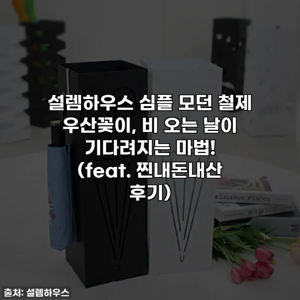 설렘하우스 심플 모던 철제 우산꽂이, 비 오는 날이 기다려지는 마법! (feat. 찐내돈내산 후기)