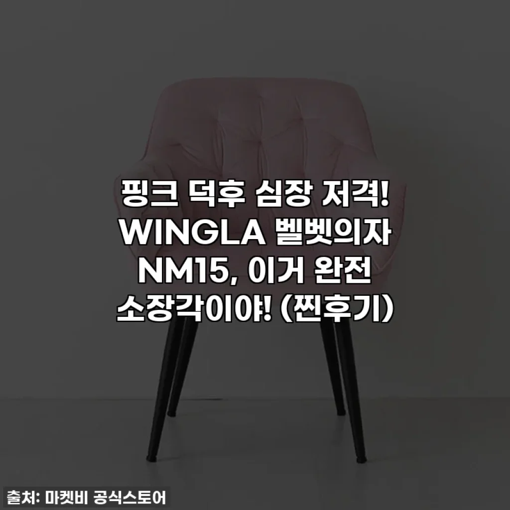 핑크 덕후 심장 저격! WINGLA 벨벳의자 NM15, 이거 완전 소장각이야! (찐후기)