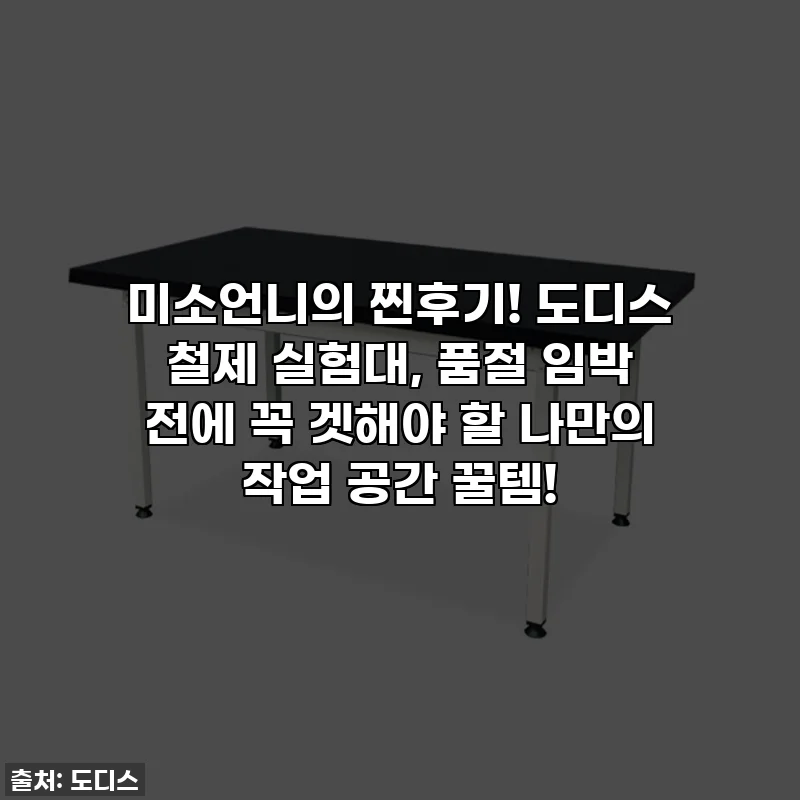 미소언니의 찐후기! 도디스 철제 실험대, 품절 임박 전에 꼭 겟해야 할 나만의 작업 공간 꿀템!