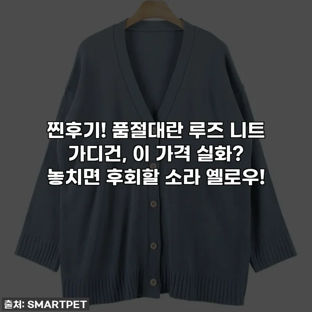 찐후기! 품절대란 루즈 니트 가디건, 이 가격 실화? 놓치면 후회할 소라 옐로우!