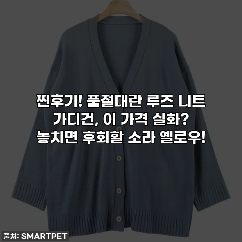 찐후기! 품절대란 루즈 니트 가디건, 이 가격 실화? 놓치면 후회할 소라 옐로우!