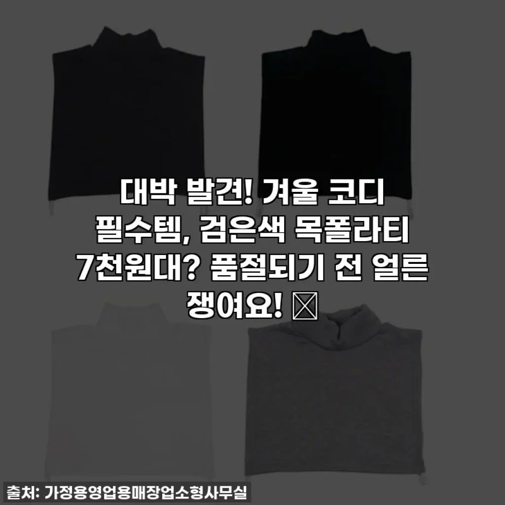 대박 발견! 겨울 코디 필수템, 검은색 목폴라티 7천원대? 품절되기 전 얼른 쟁여요! 🖤