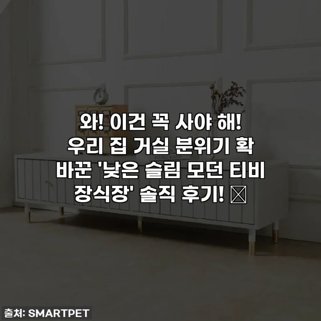 와! 이건 꼭 사야 해! 우리 집 거실 분위기 확 바꾼 '낮은 슬림 모던 티비 장식장' 솔직 후기! ✨