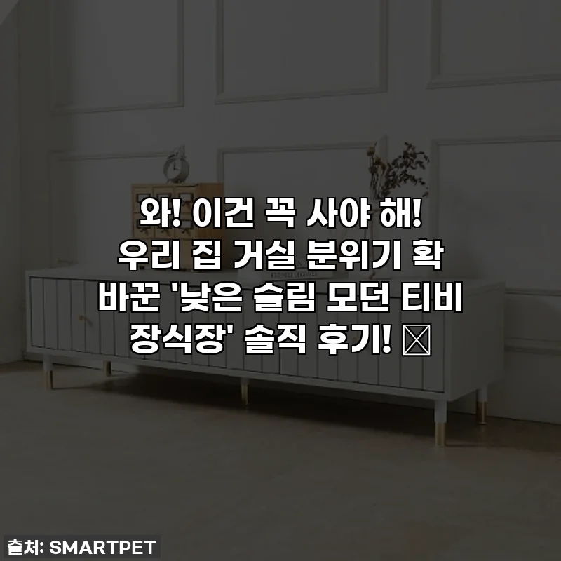 와! 이건 꼭 사야 해! 우리 집 거실 분위기 확 바꾼 '낮은 슬림 모던 티비 장식장' 솔직 후기! ✨