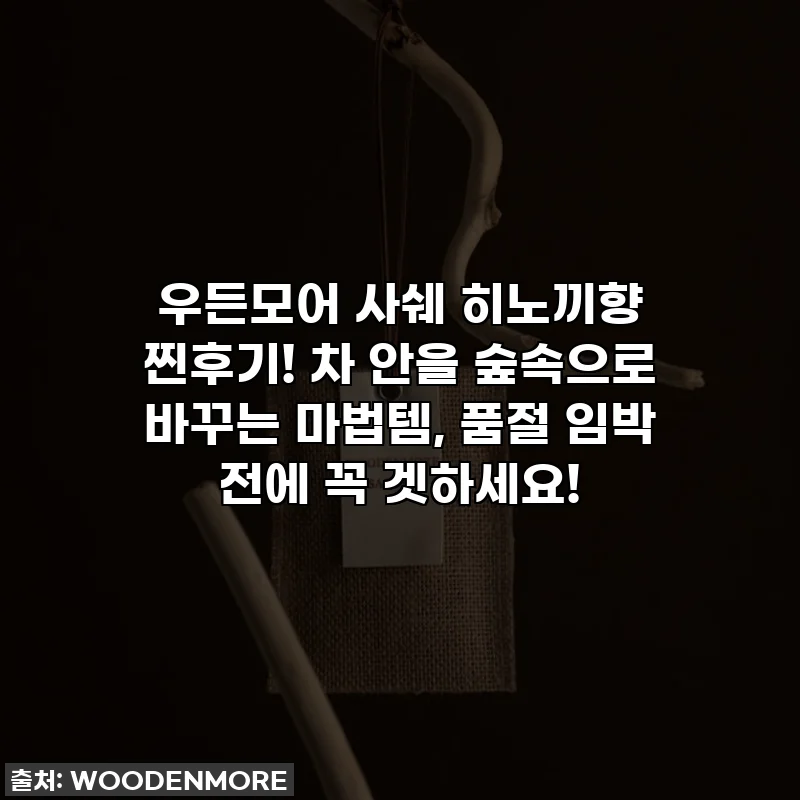 우든모어 사쉐 히노끼향 찐후기! 차 안을 숲속으로 바꾸는 마법템, 품절 임박 전에 꼭 겟하세요!