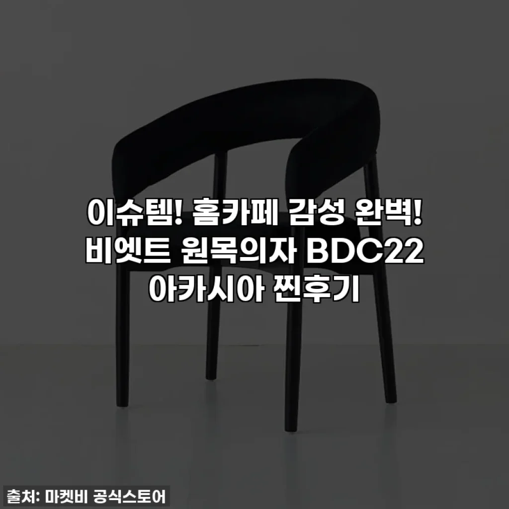 이슈템! 홈카페 감성 완벽! 비엣트 원목의자 BDC22 아카시아 찐후기