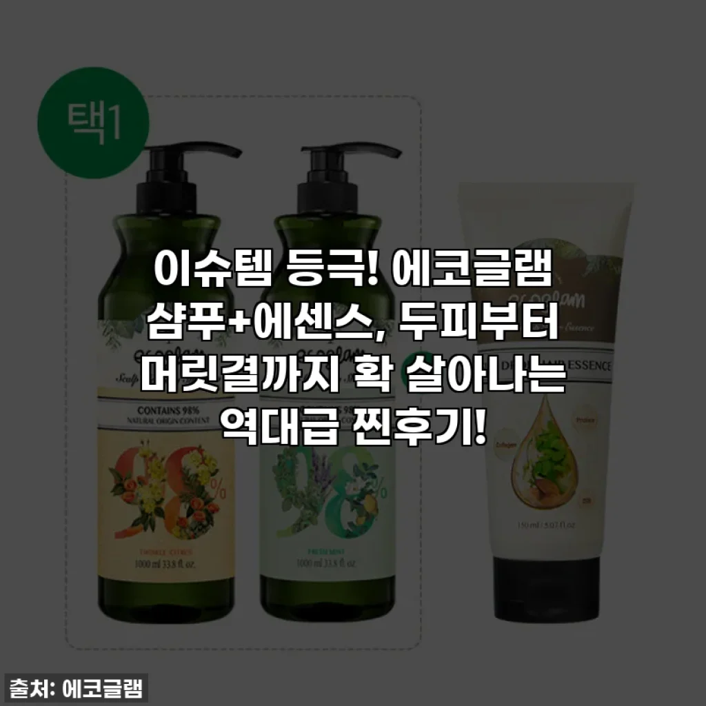 이슈템 등극! 에코글램 샴푸+에센스, 두피부터 머릿결까지 확 살아나는 역대급 찐후기!
