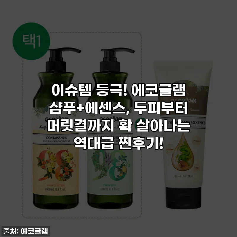 이슈템 등극! 에코글램 샴푸+에센스, 두피부터 머릿결까지 확 살아나는 역대급 찐후기!