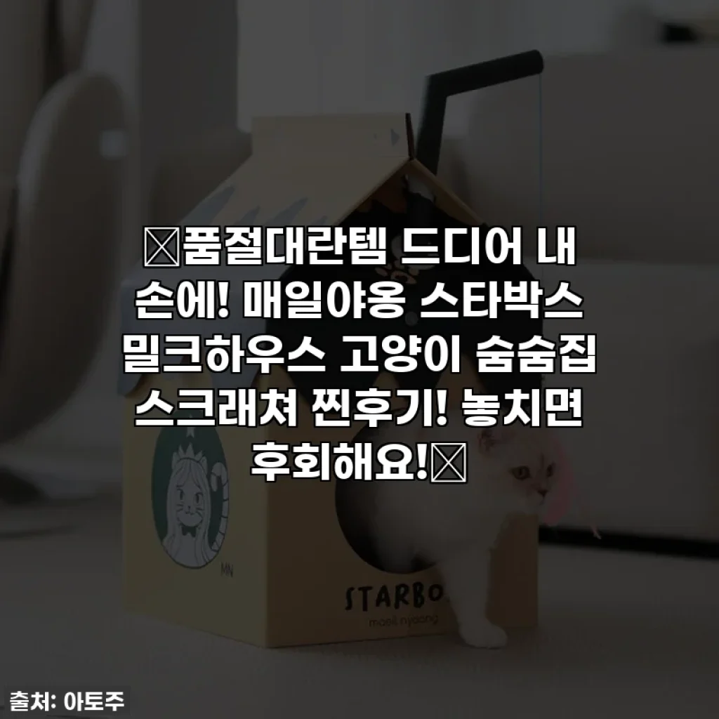 ✨품절대란템 드디어 내 손에! 매일야옹 스타박스 밀크하우스 고양이 숨숨집 스크래쳐 찐후기! 놓치면 후회해요!✨