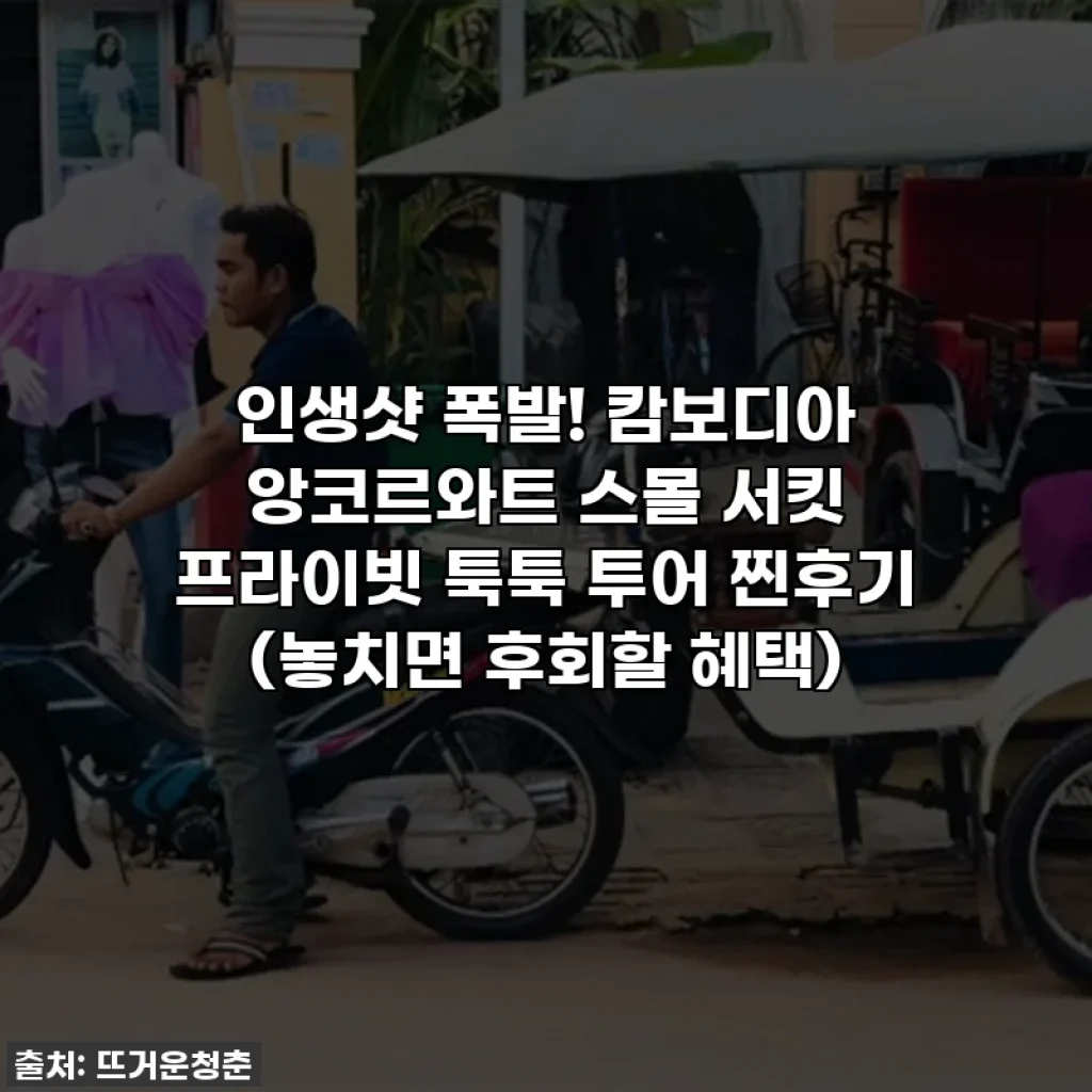 인생샷 폭발! 캄보디아 앙코르와트 스몰 서킷 프라이빗 툭툭 투어 찐후기 (놓치면 후회할 혜택)