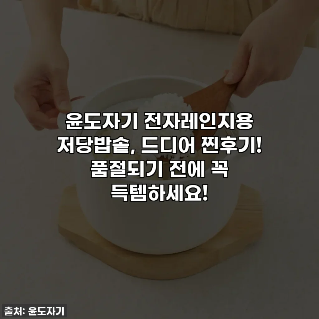 윤도자기 전자레인지용 저당밥솥, 드디어 찐후기! 품절되기 전에 꼭 득템하세요!