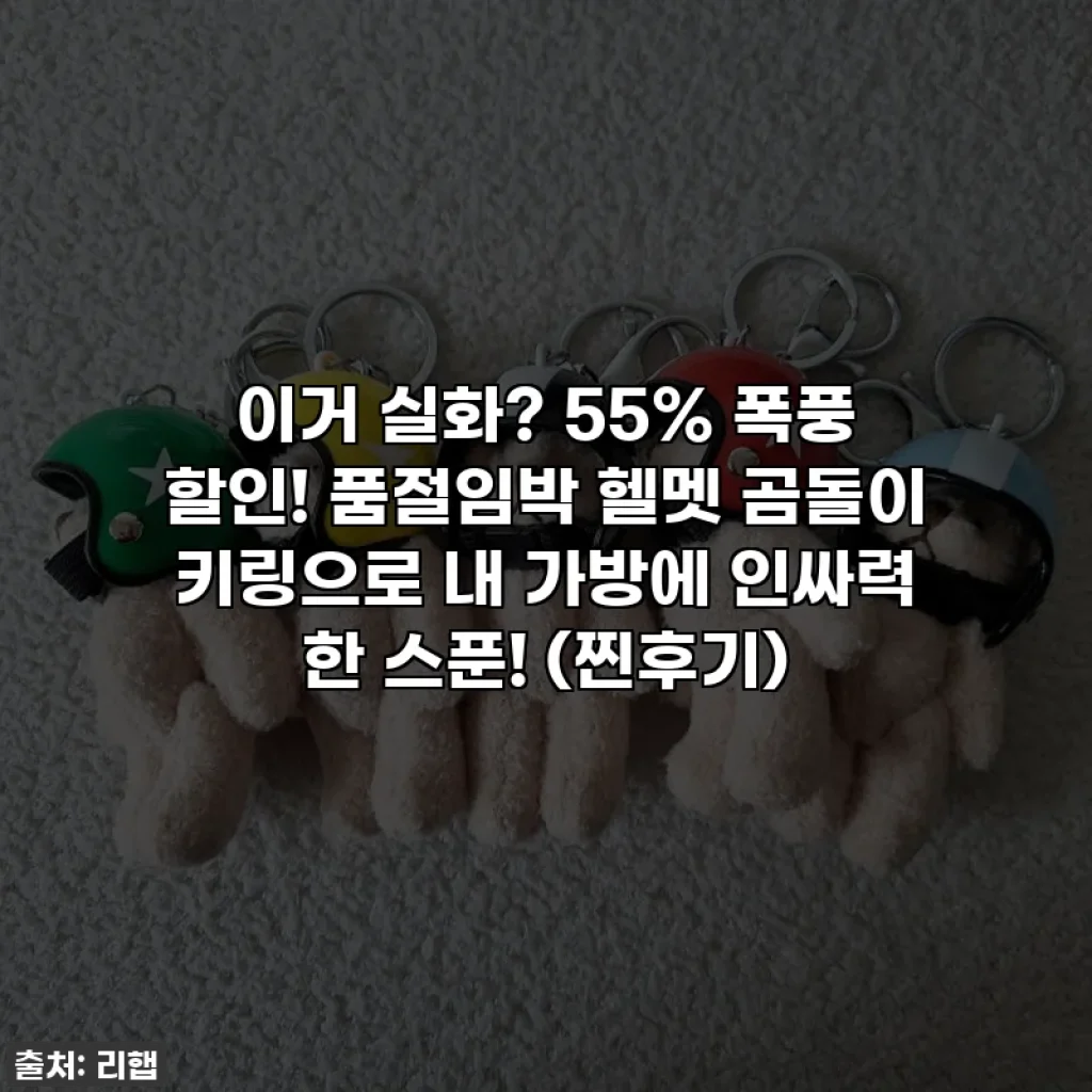 이거 실화? 55% 폭풍 할인! 품절임박 헬멧 곰돌이 키링으로 내 가방에 인싸력 한 스푼! (찐후기)