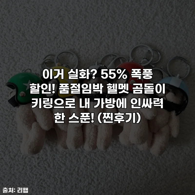 이거 실화? 55% 폭풍 할인! 품절임박 헬멧 곰돌이 키링으로 내 가방에 인싸력 한 스푼! (찐후기)