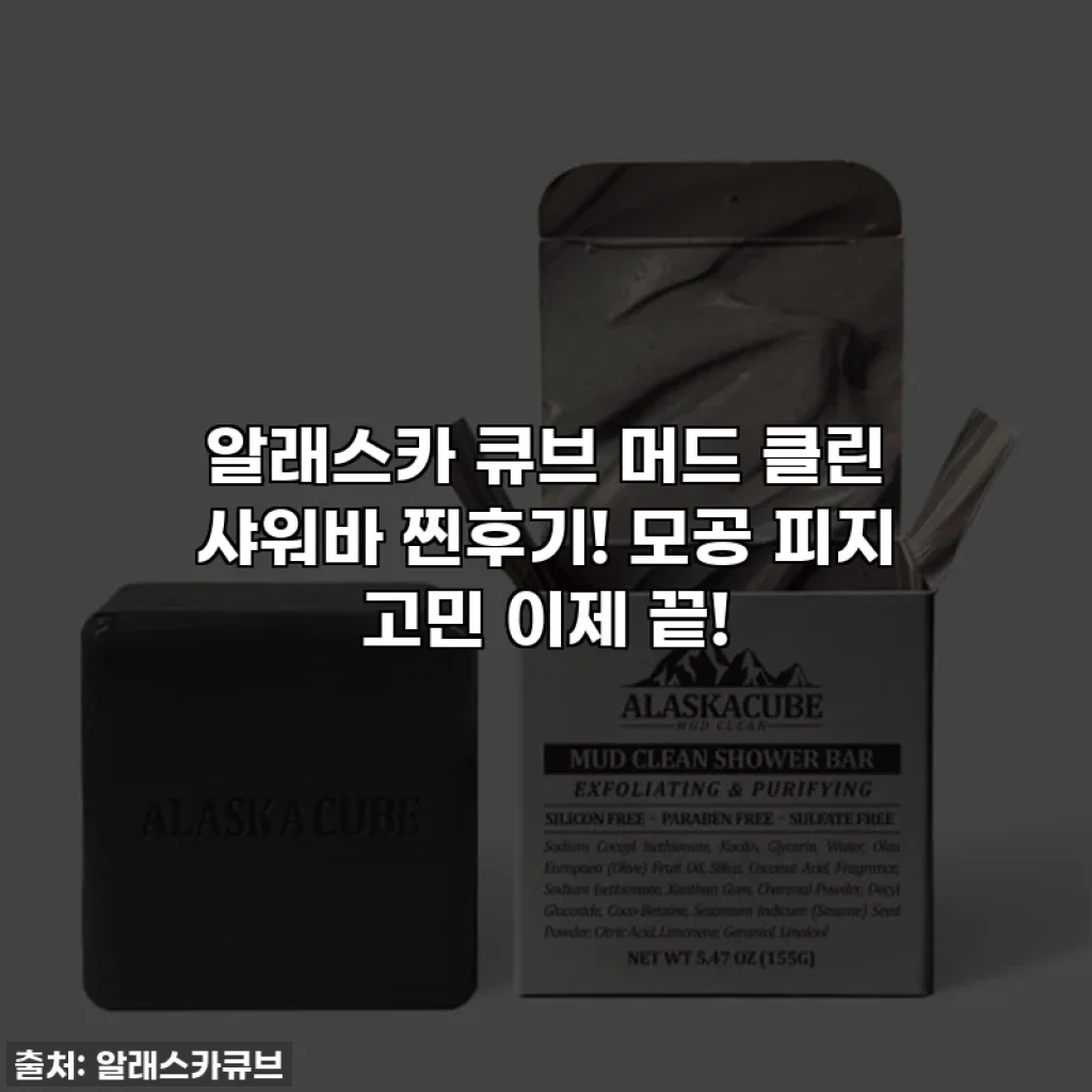 알래스카 큐브 머드 클린 샤워바 찐후기! 모공 피지 고민 이제 끝!
