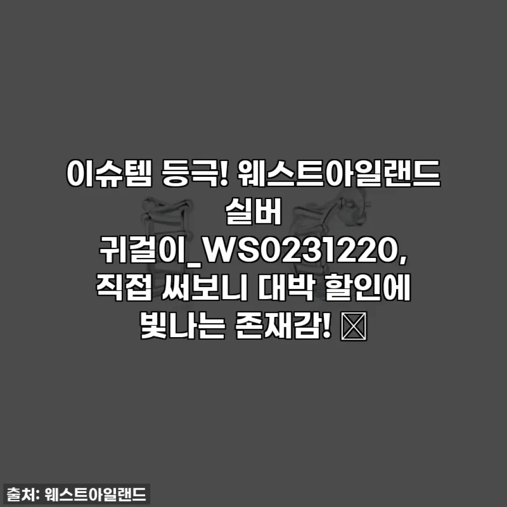 이슈템 등극! 웨스트아일랜드 실버 귀걸이_WS0231220, 직접 써보니 대박 할인에 빛나는 존재감! ✨