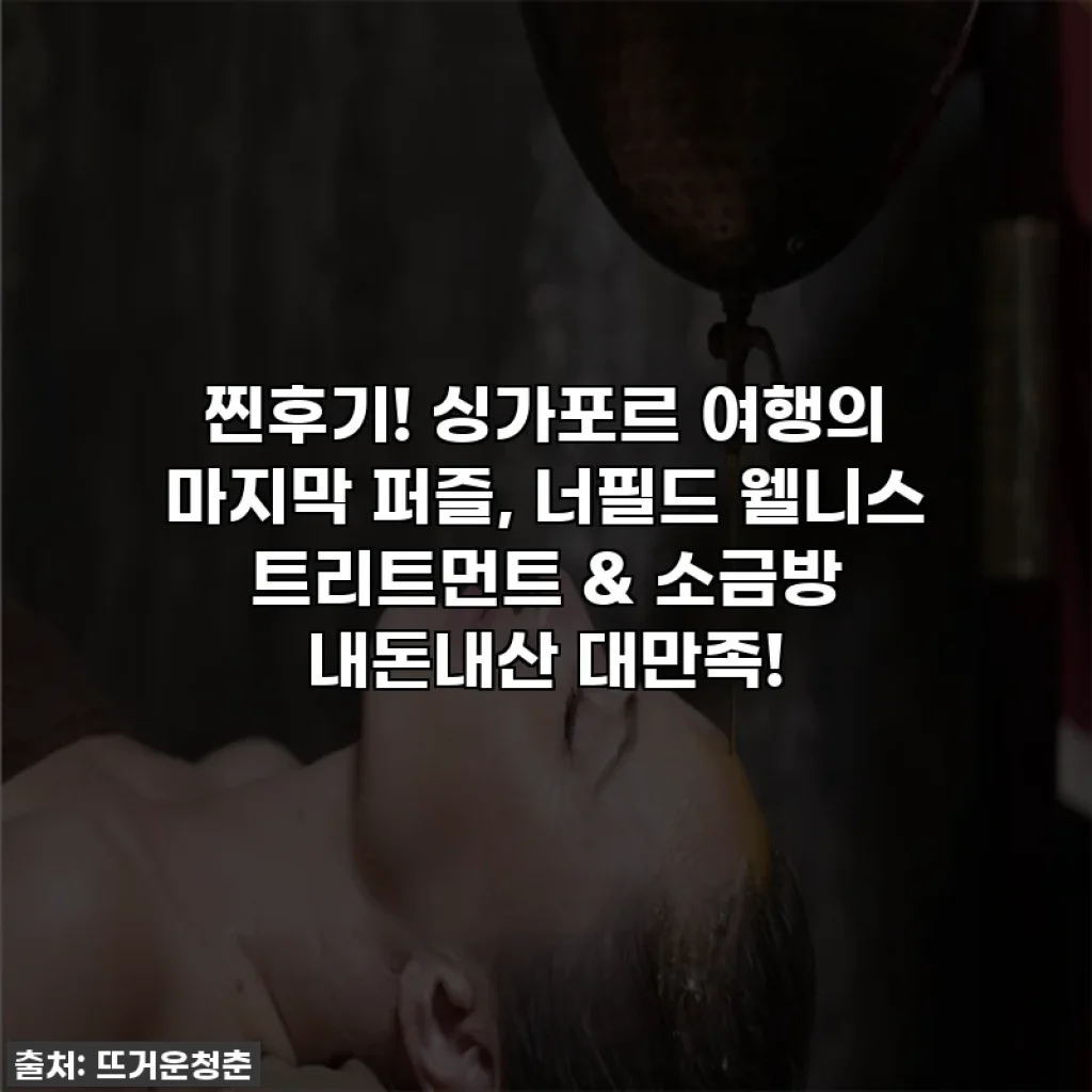 찐후기! 싱가포르 여행의 마지막 퍼즐, 너필드 웰니스 트리트먼트 & 소금방 내돈내산 대만족!