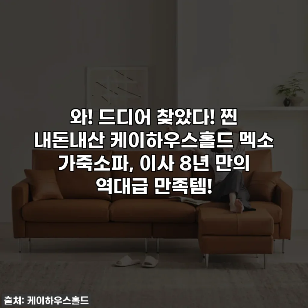 와! 드디어 찾았다! 찐 내돈내산 케이하우스홀드 멕소 가죽소파, 이사 8년 만의 역대급 만족템!