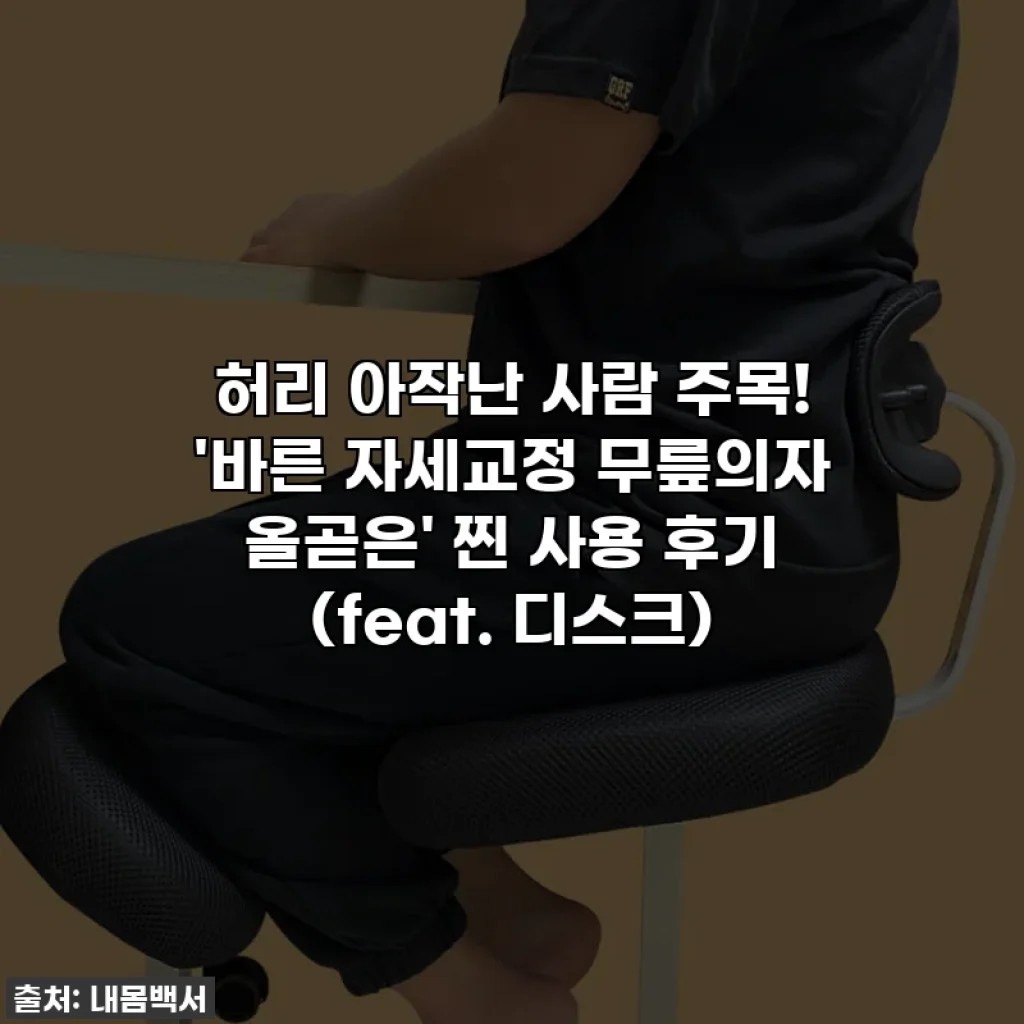 허리 아작난 사람 주목! '바른 자세교정 무릎의자 올곧은' 찐 사용 후기 (feat. 디스크)
