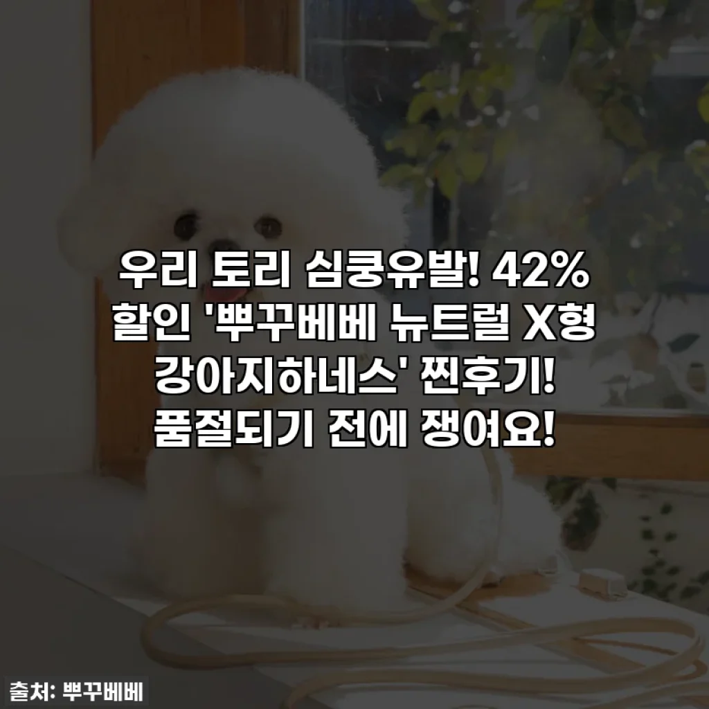우리 토리 심쿵유발! 42% 할인 '뿌꾸베베 뉴트럴 X형 강아지하네스' 찐후기! 품절되기 전에 쟁여요!