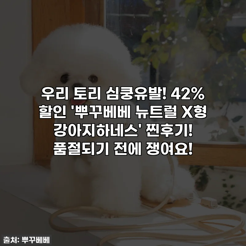 우리 토리 심쿵유발! 42% 할인 '뿌꾸베베 뉴트럴 X형 강아지하네스' 찐후기! 품절되기 전에 쟁여요!
