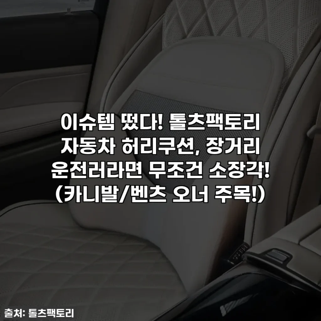 이슈템 떴다! 톨츠팩토리 자동차 허리쿠션, 장거리 운전러라면 무조건 소장각! (카니발/벤츠 오너 주목!)