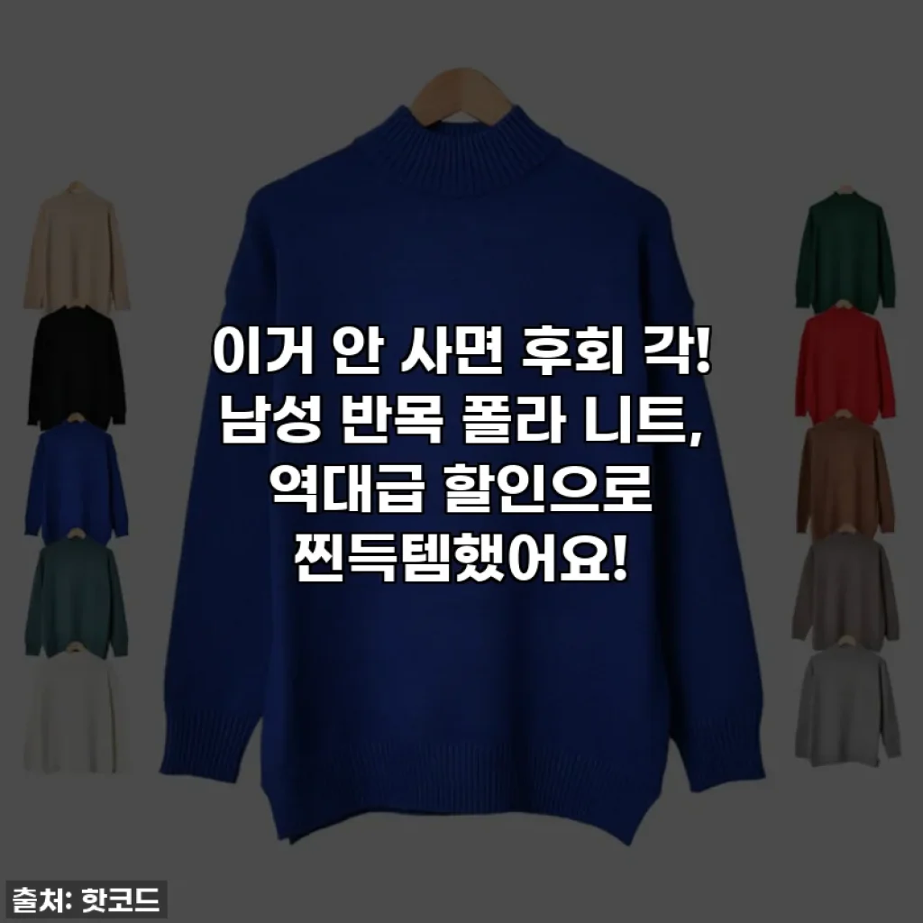 이거 안 사면 후회 각! 남성 반목 폴라 니트, 역대급 할인으로 찐득템했어요!